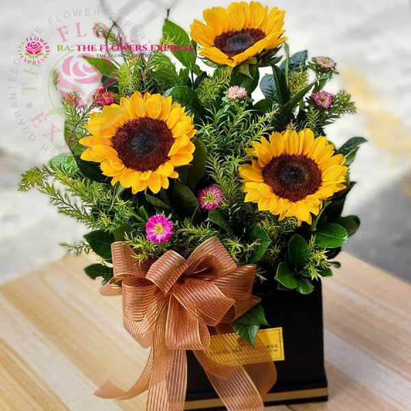 7_6f417954-ff00-4e7d-a268-176d754ef509_grande