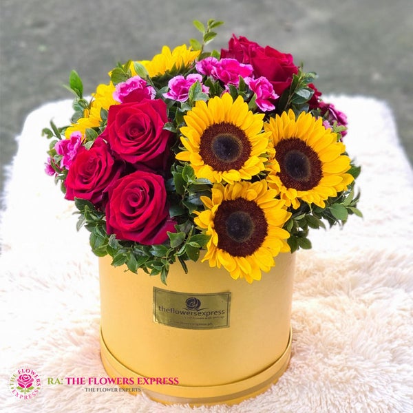 8_456299d8-791f-413c-9f2b-cd25a8894da5_grande